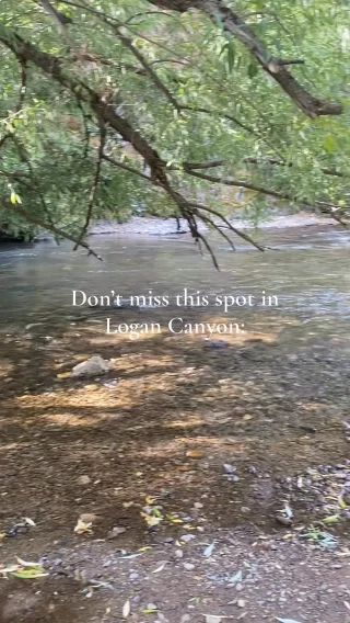 Instagram post from countryroadtrip. This post is in position 1.