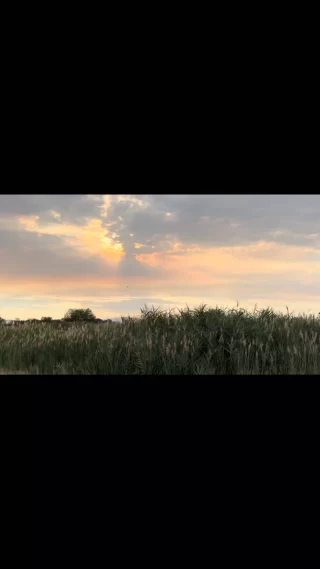 Instagram post from countryroadtrip. This post is in position 2.